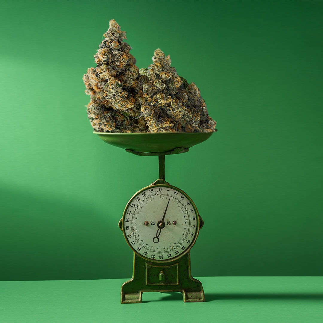 Cannabis Scales, Retail Storefront